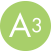 A3